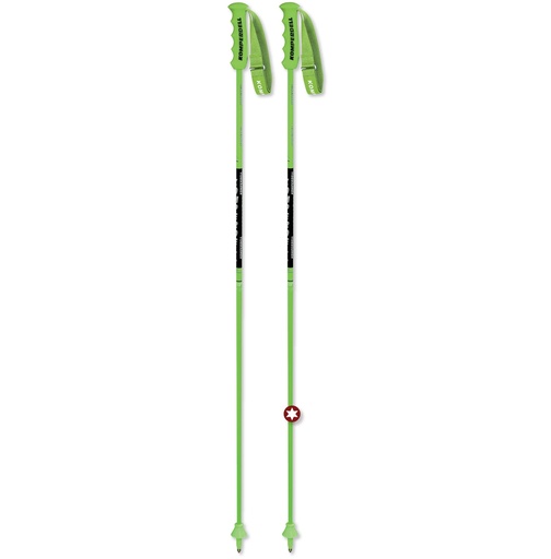 NT CARBON GS 12.3